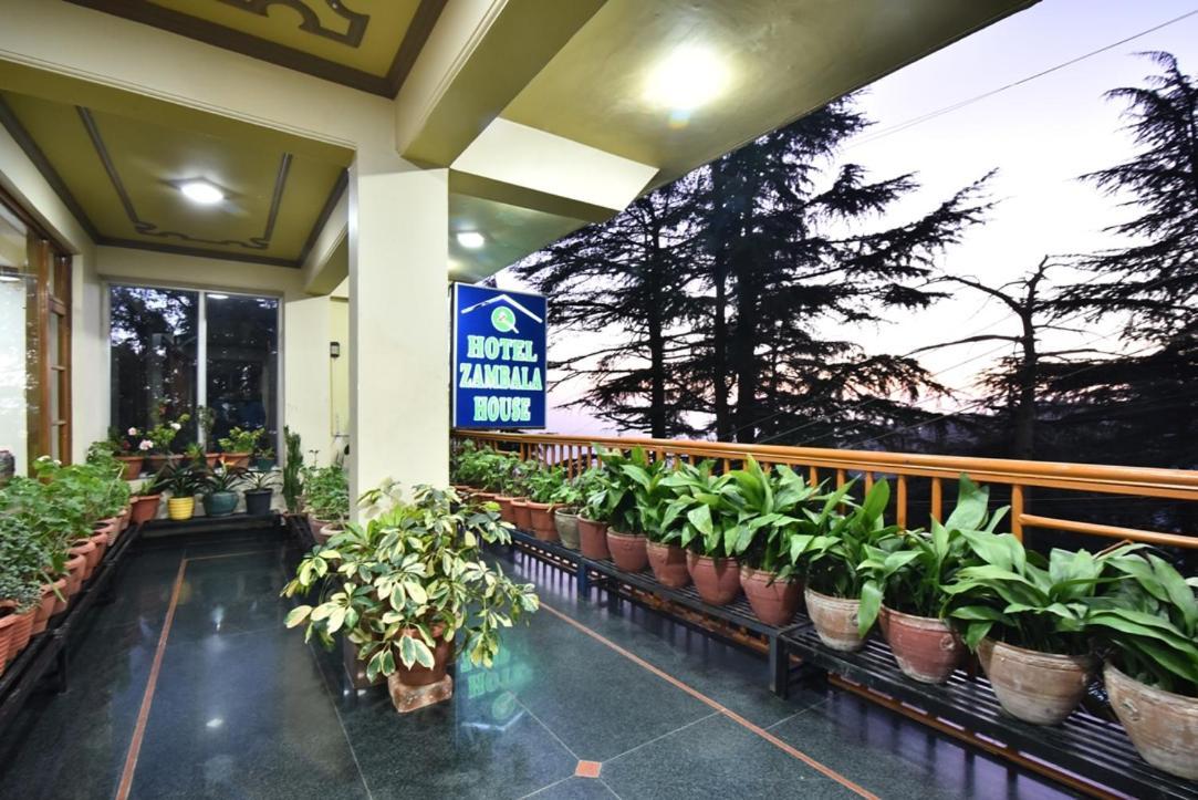 Hotel Zambala House McLeod Ganj Eksteriør bilde